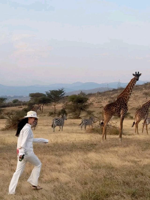 Tanzania Safari Park won my heart 🥰❤️