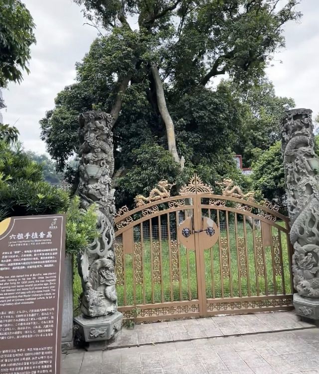 深圳打工人挑戰每週末旅遊第37站雲浮