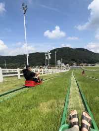 沙田阿勒泰｜雲端草原一日遊。