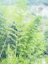 你可以永遠相信鎮江南山的景色。