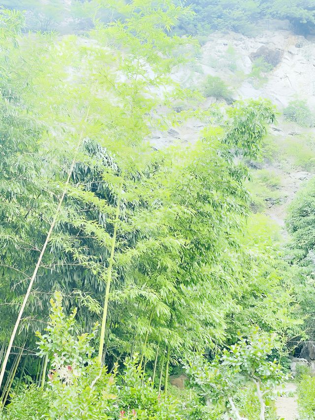 你可以永遠相信鎮江南山的景色。