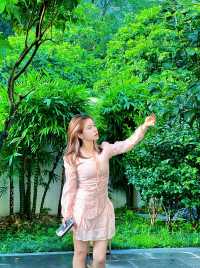 阳朔住宿推薦:山水間嘅舒適之選。