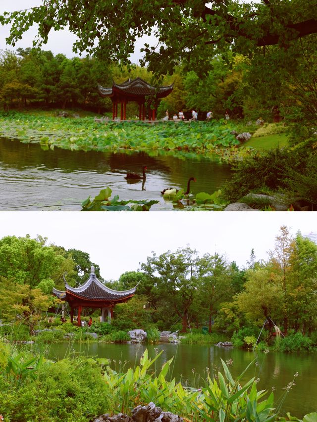 浦西有豫園,浦東有申園~