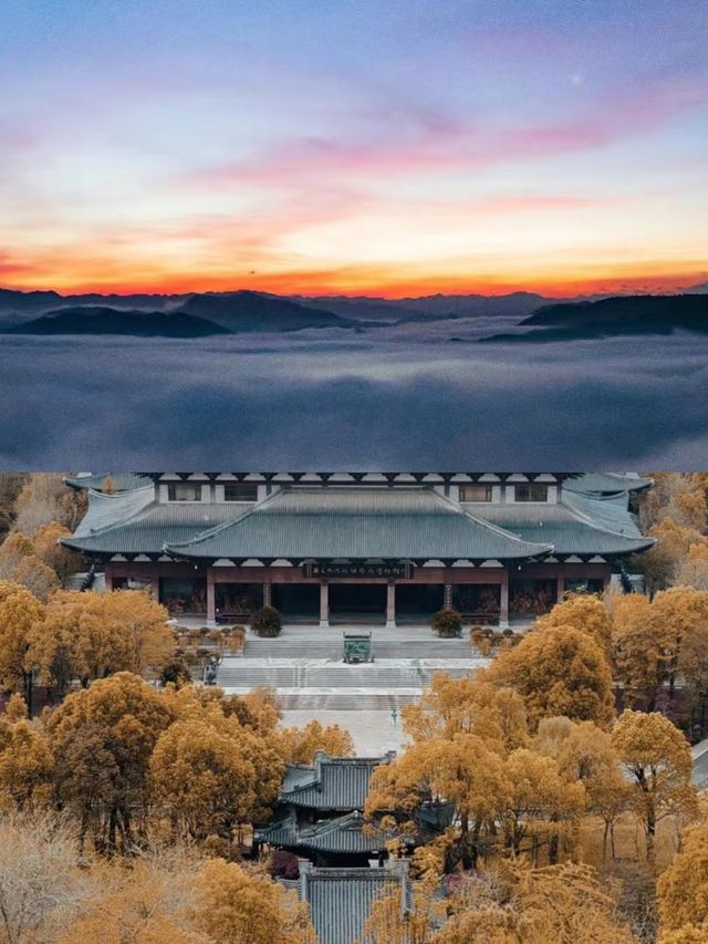 衢州真的已經美到next level....直接封神。