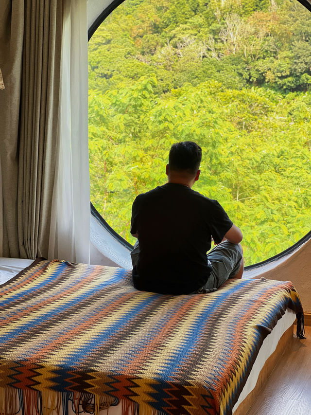 我真的愛上了深圳這些隱居山林的賓館～～。