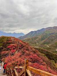 北京最美的賞紅葉棧道。