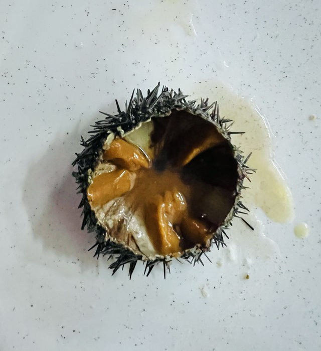 薩蘭達港。
