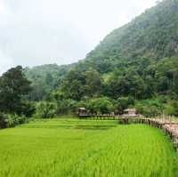 โอนโซนอันดับ 6 อยู่ที่นี่ วัดนาคูหา จ.แพร่