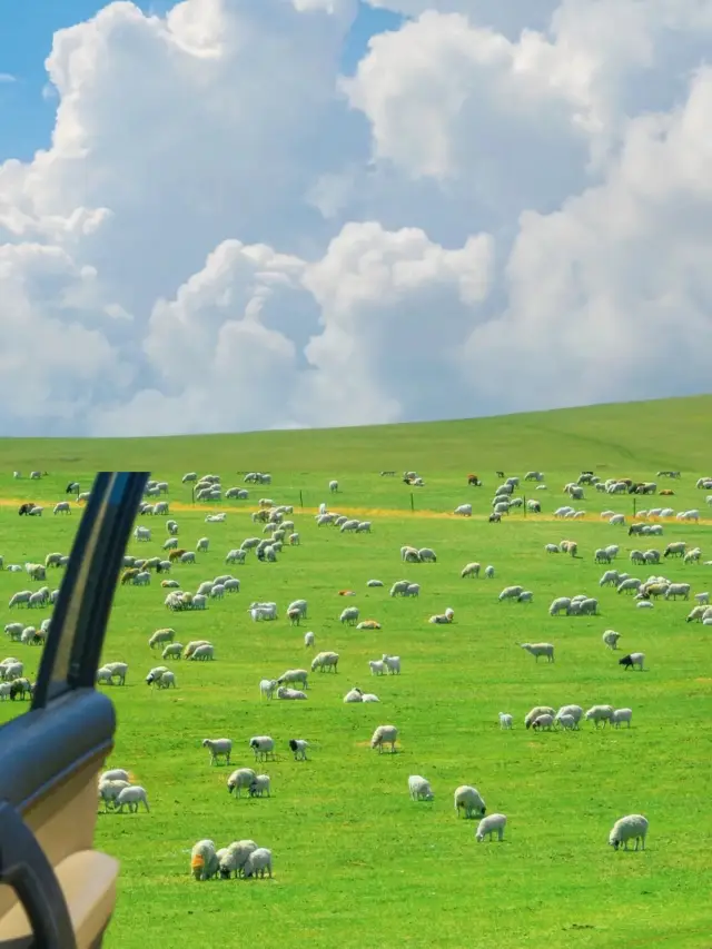 "Inner Mongolia Panorama Tour: A Natural Journey from Hulunbuir to Arxan." 