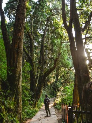 這一面，等待了千年的光景。