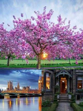 Two Days in Harrogate: Enjoy the Tranquility of a British Town