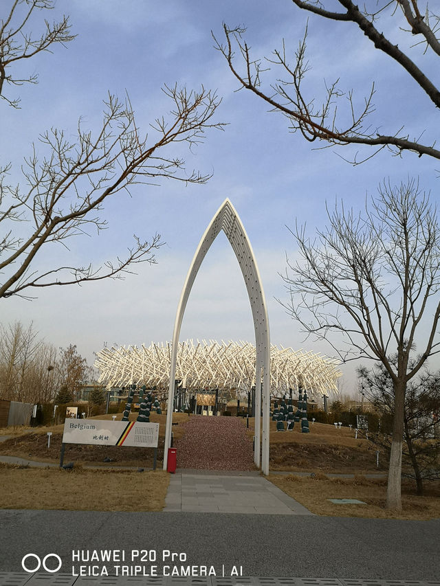 北京遊之四：冬天的世園公園。