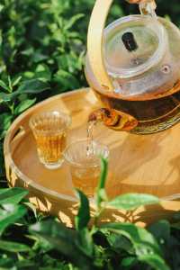 郴州｜民宿茶飲新體驗，人均不到一百衝。