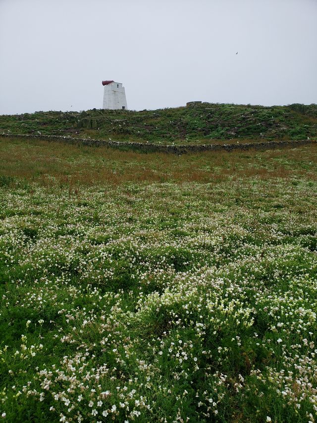 蘇格蘭五月島風景地貌。