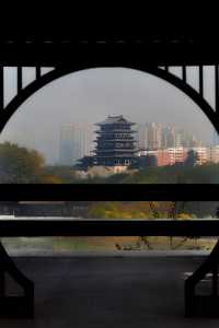 西流湖公園的這個秋天，一定可以美到你。