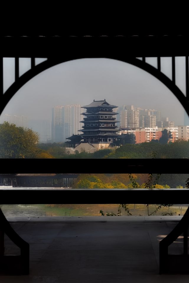 西流湖公園的這個秋天，一定可以美到你。