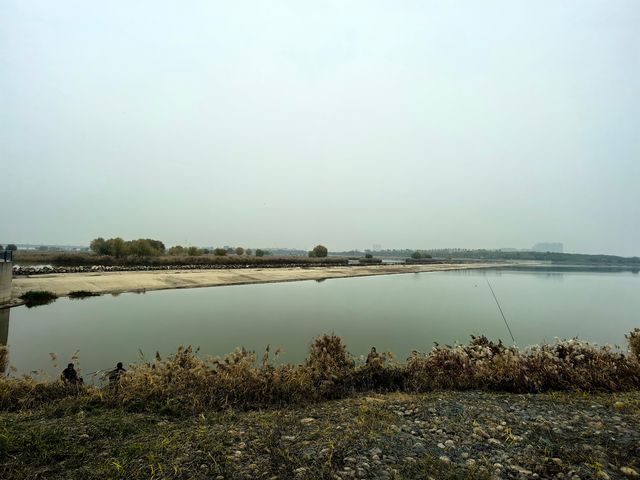 滹沱河生態濕地（城區段）-滹沱濕地。