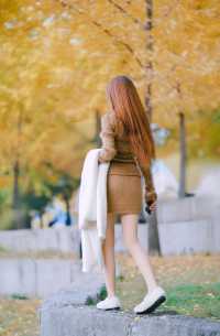 西安秦二世遺址公園的銀杏樹黃得正好。