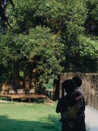 南昌「後花園」｜2天1晚攻略帶娃說走就走。