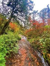 興山秋日遊 3天盡享熱門美景。