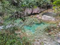 東黃山之翡翠谷。