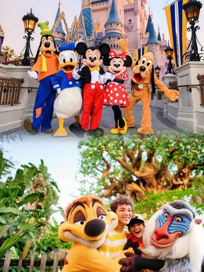 最新】ウォルト・ディズニー・ワールド・リゾート - チケット