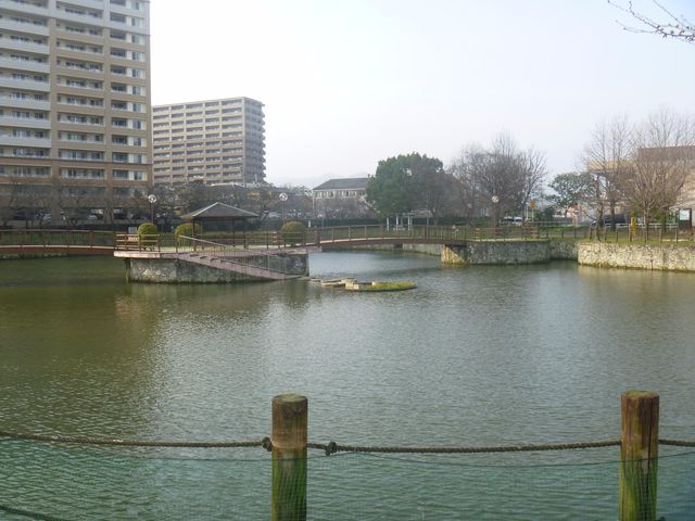 探訪鳥栖的綠色心臟——鳥栖中央公園。