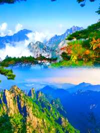 揭秘黃山風景區：那些讓你驚嘆的自然奇觀！。