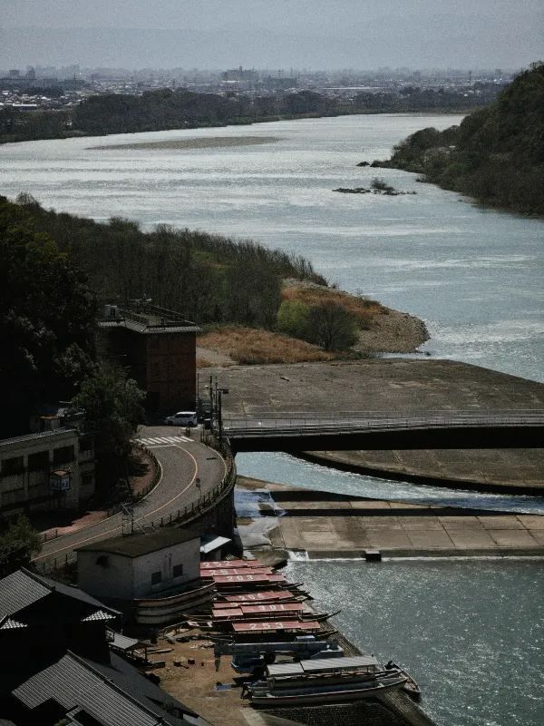 Visit Inuyama Castle during Cherry Blossom Season