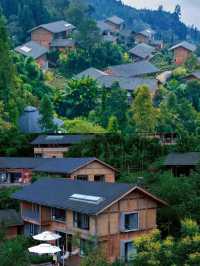 幽靜深山住宿，避世好去處，卡莎莎樹屋民宿～。