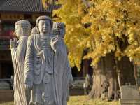 報國寺。