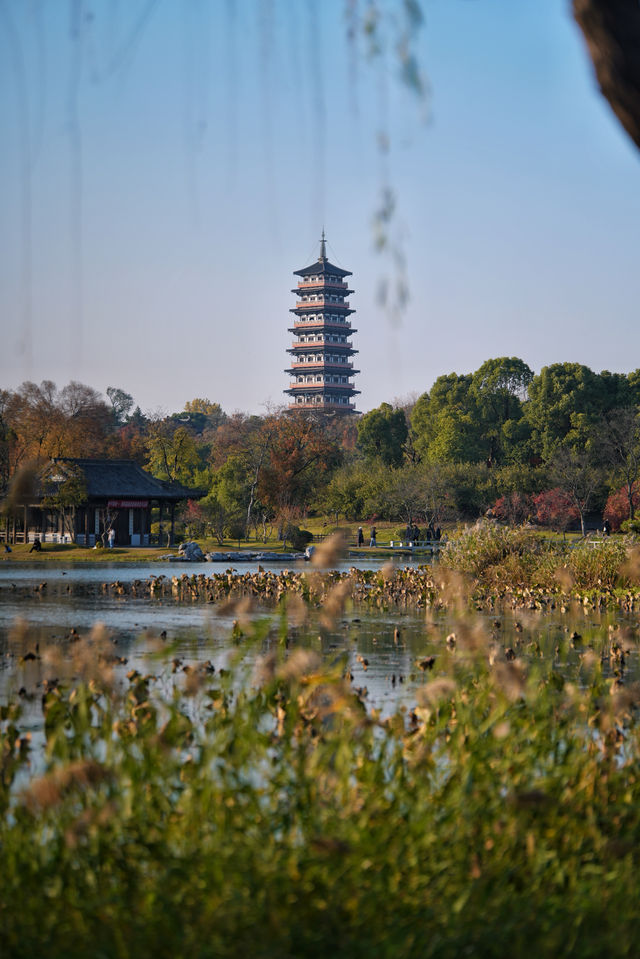 南京周邊｜揚州秋冬的悠閒感真讓我羨慕得不得了。