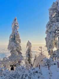 成都周邊｜南方小土豆在瓦屋山看雪，美爆了。