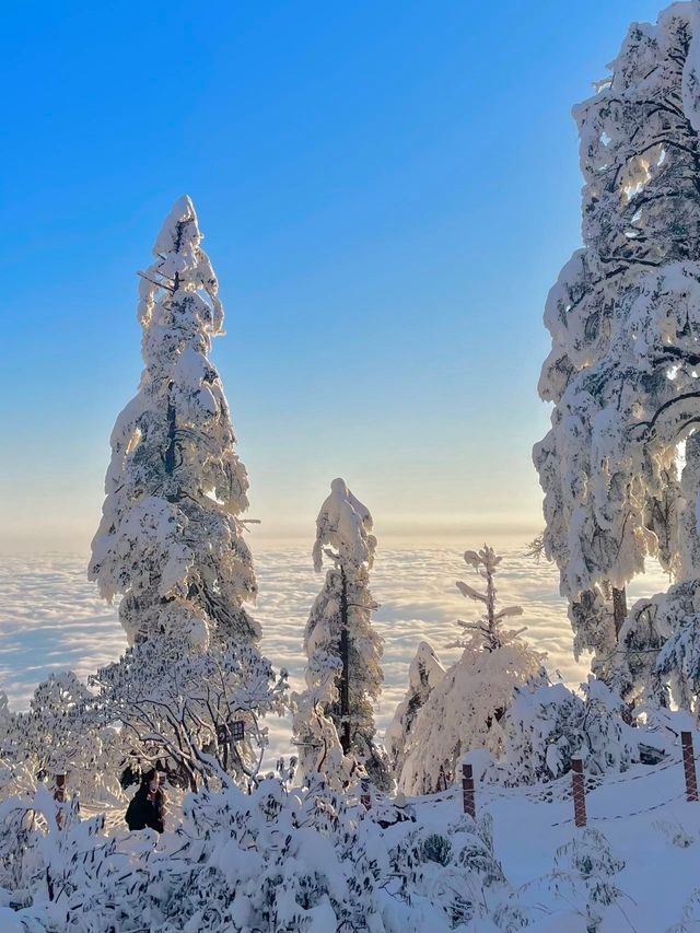成都周邊｜南方小土豆在瓦屋山看雪，美爆了。