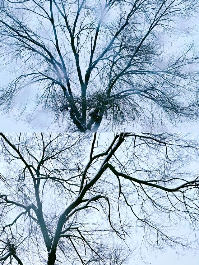 延吉滑雪‖夢都美滑雪場打卡避坑攻略