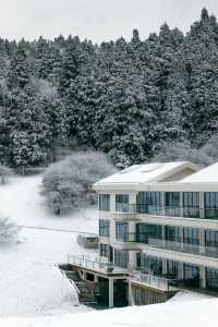 仙女山·重慶人自己的北海道