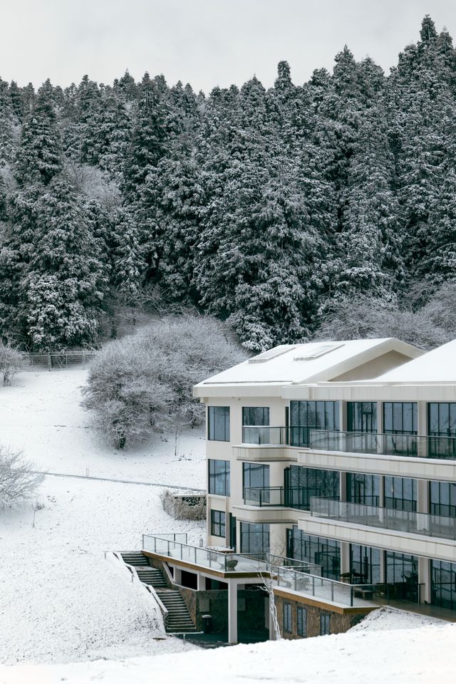 仙女山·重慶人自己的北海道