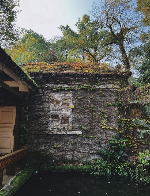 南岸秘密花園——重慶南山植物園