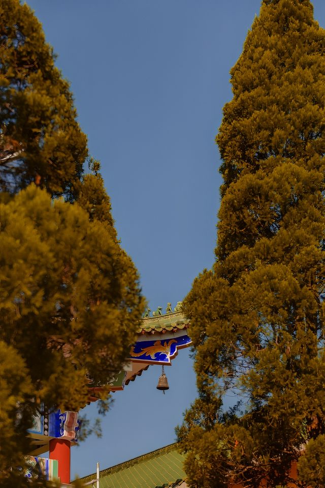 韶關雲門寺旅行攻略，禪宗名剎的靜心之旅