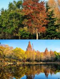 濟南森林公園，小朋友的天堂！！
