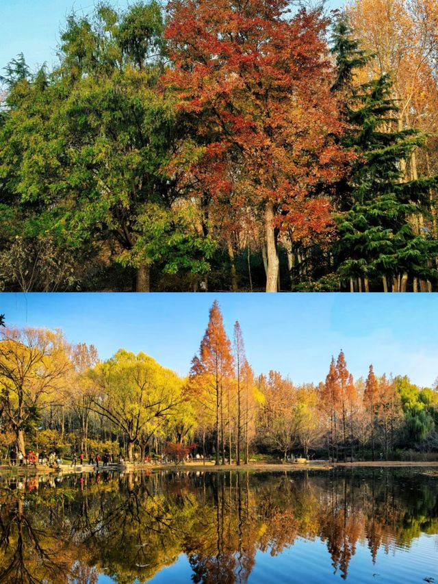 濟南森林公園，小朋友的天堂！！