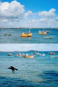 Exploring Mirissa, Sri Lanka: Whale Watching and Stilt Fishermen