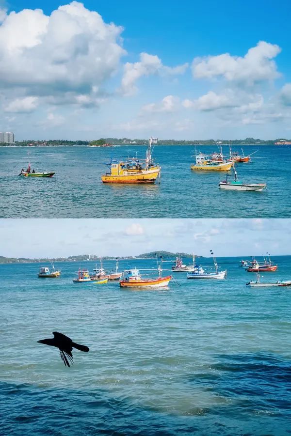 Exploring Mirissa, Sri Lanka: Whale Watching and Stilt Fishermen