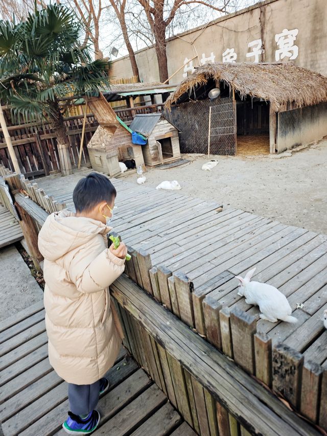 烏村遛娃｜我願稱它為江浙滬遛娃天花板