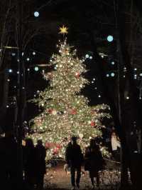Experience a Magical Christmas at Karuizawa Highland Church in 2024