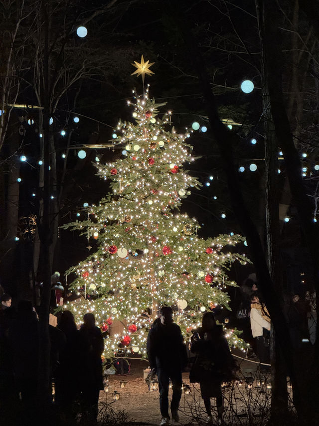 Experience a Magical Christmas at Karuizawa Highland Church in 2024