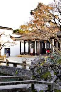 訪蘇州環秀山莊