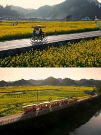 不是平坝/婺源這是離貴陽1h的賞花天堂