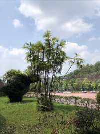 樂山旅遊攻略之樂山博物館