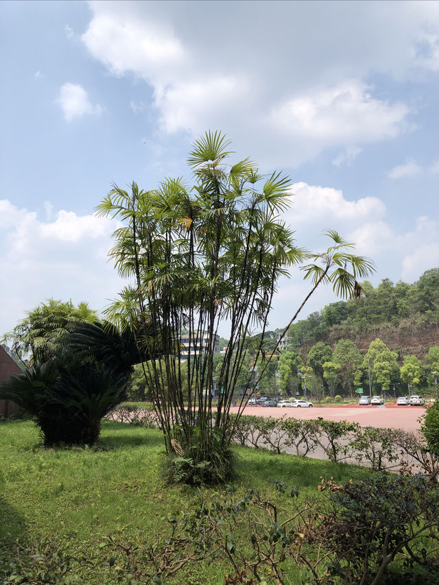 樂山旅遊攻略之樂山博物館